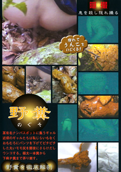 野糞 ギャルの野糞を徹底解剖3